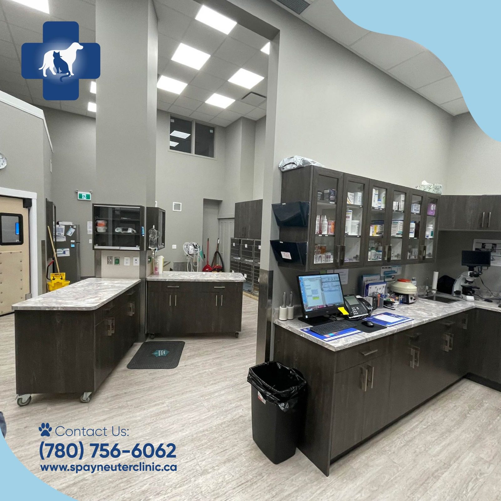 Edmonton Spay and Neuter Clinic. Full Service Veterinary Clinic and Emergency Hospital