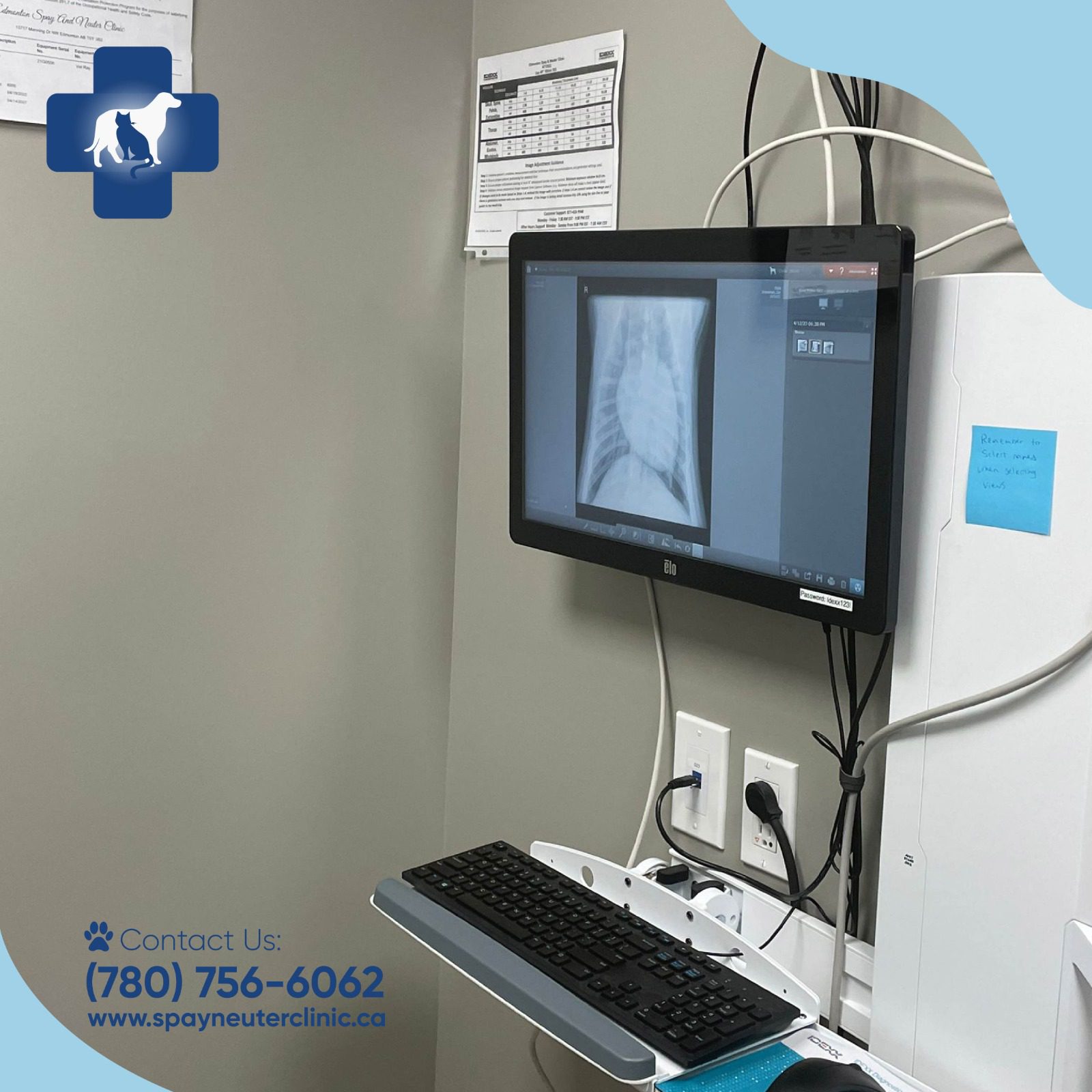Edmonton Spay and Neuter Clinic. Full Service Veterinary Clinic and Emergency Hospital