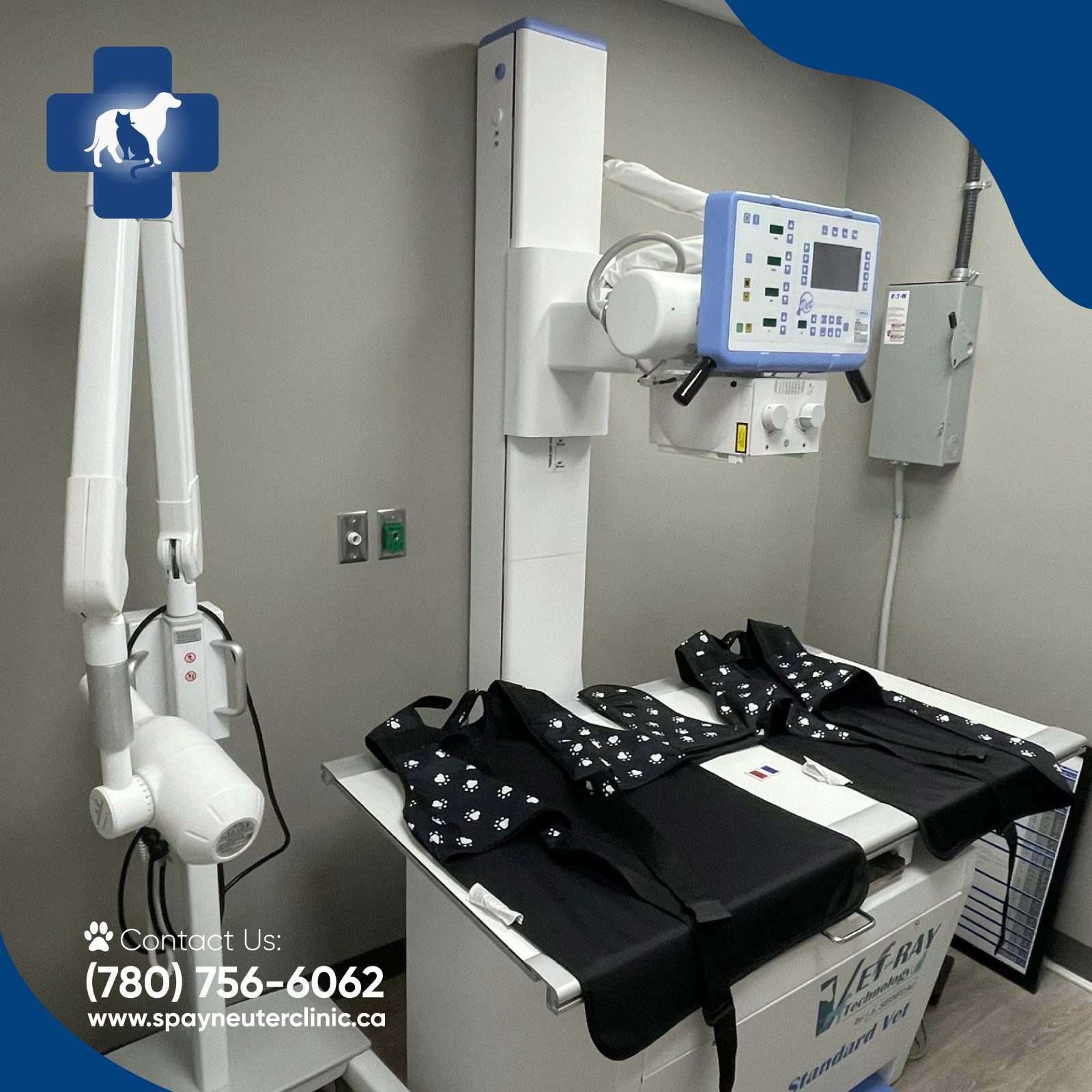 Edmonton Spay and Neuter Clinic. Full Service Veterinary Clinic and Emergency Hospital