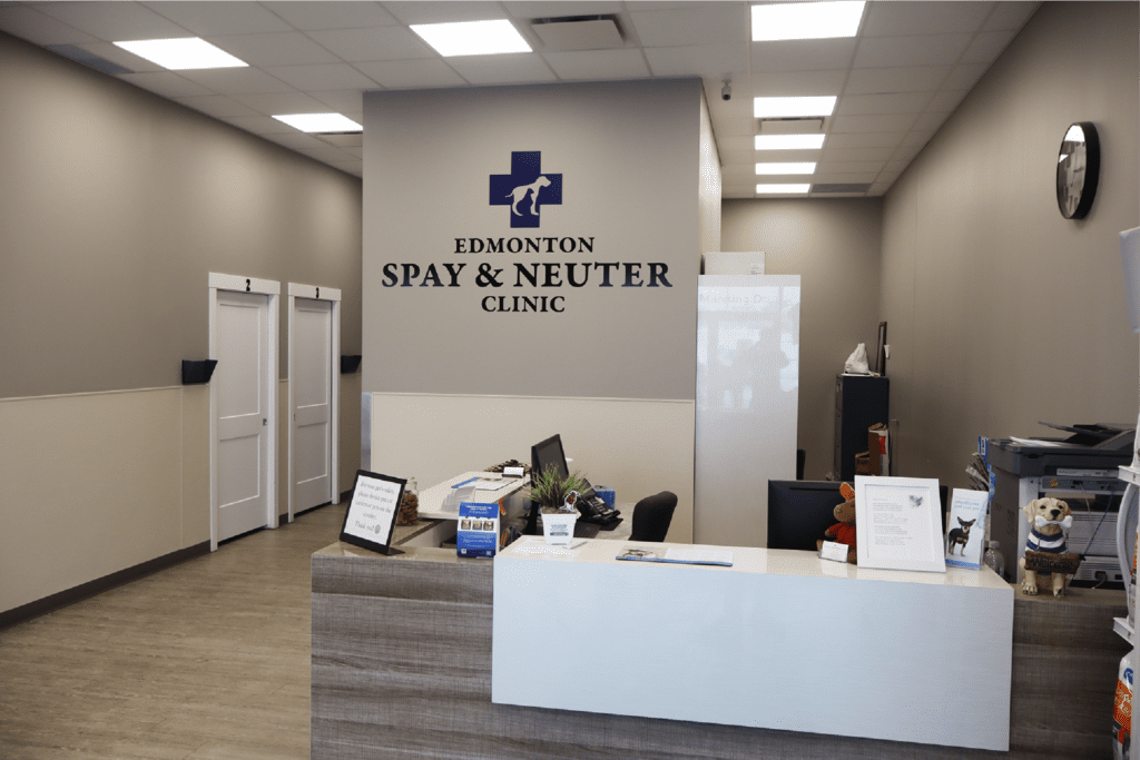 Edmonton Spay and Neuter Clinic. Full Service Veterinary Clinic and Emergency Hospital Edmonton Spay and Neuter Clinic. Full Service Veterinary Clinic and Emergency Hospital