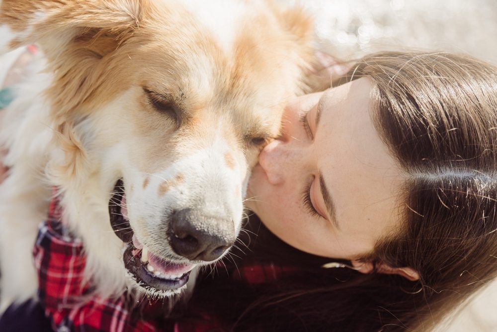 Emergency Care by Edmonton Spay and Neuter Clinic